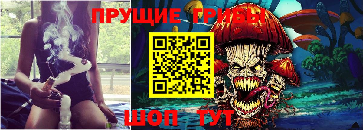 Среднеуральск  Галлюциногенные грибы прущие грибы  Вход с VPN 
